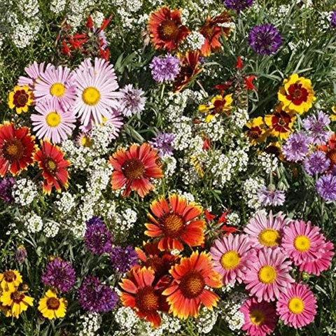 Outsidepride versatile coverage options for any bed or meadow