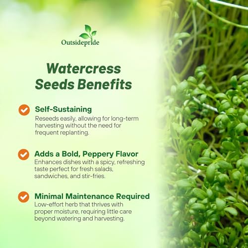 Mature Outsidepride watercress plant with fresh leaves