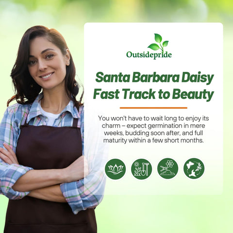 Outsidepride Daisy seeds prefer well-drained soil, promoting healthy growth