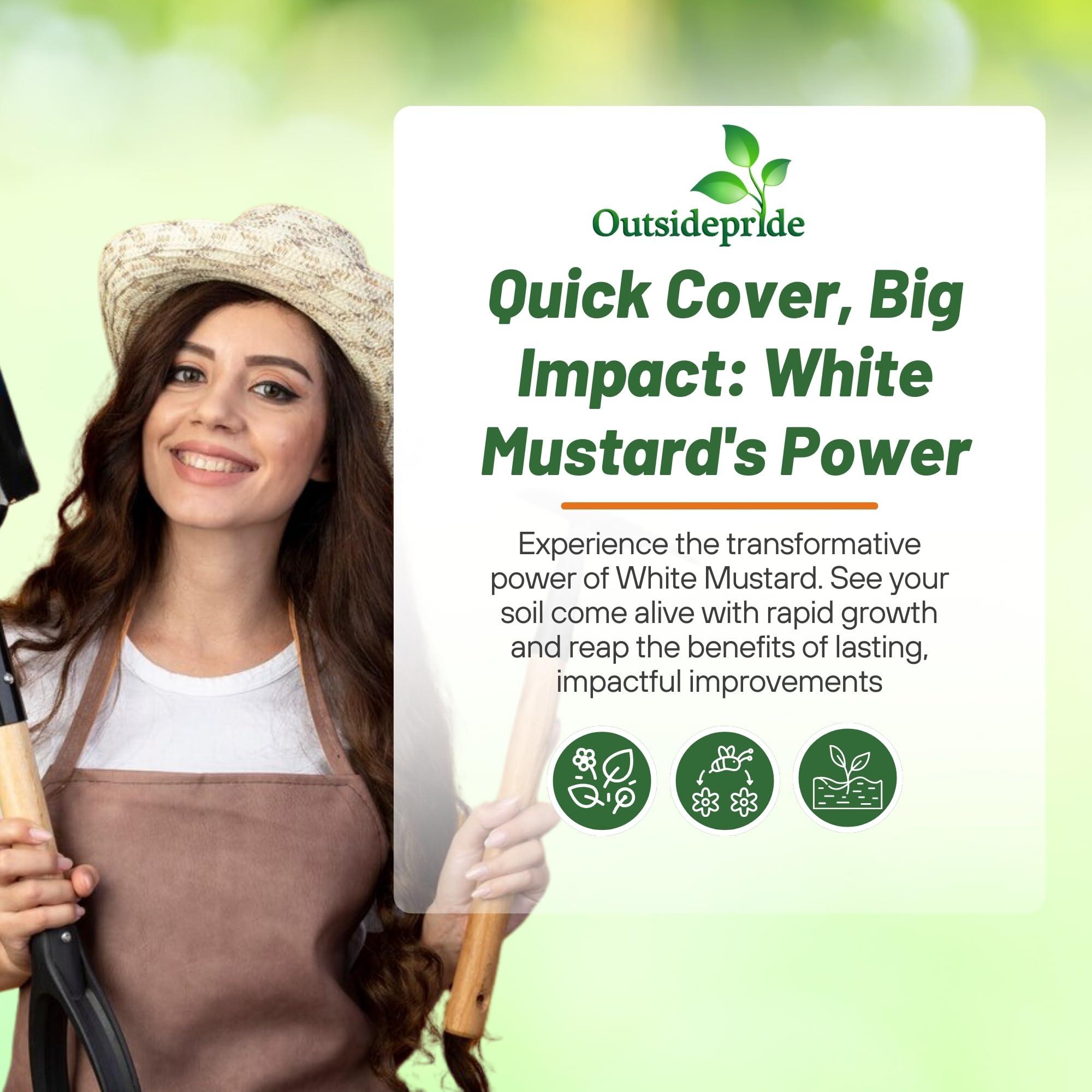 Outsidepride White Mustard Seeds soil tilth improvement supports soil structure.