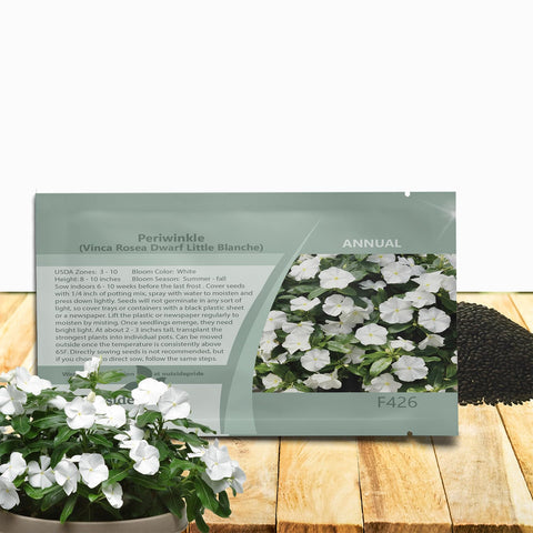 Outsidepride White Periwinkle seeds offering early bloom for sunny border plantings.