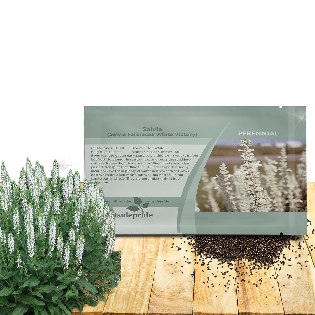 Outsidepride White Victory Salvia seeds package showing 1000 seeds for drought-tolerant plantings