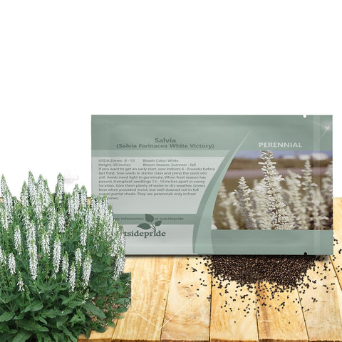 Outsidepride White Victory Salvia seeds package showing 1000 seeds for drought-tolerant plantings