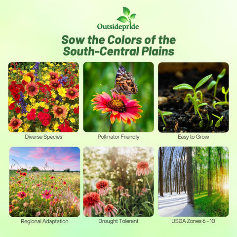 Outsidepride seed mix close-up reveals vibrant, ready-to-bloom flowers