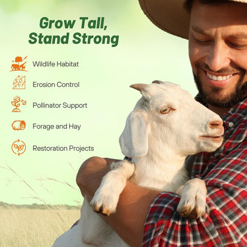 Outsidepride seed mix supports wildlife habitat and biodiversity in a native landscape.