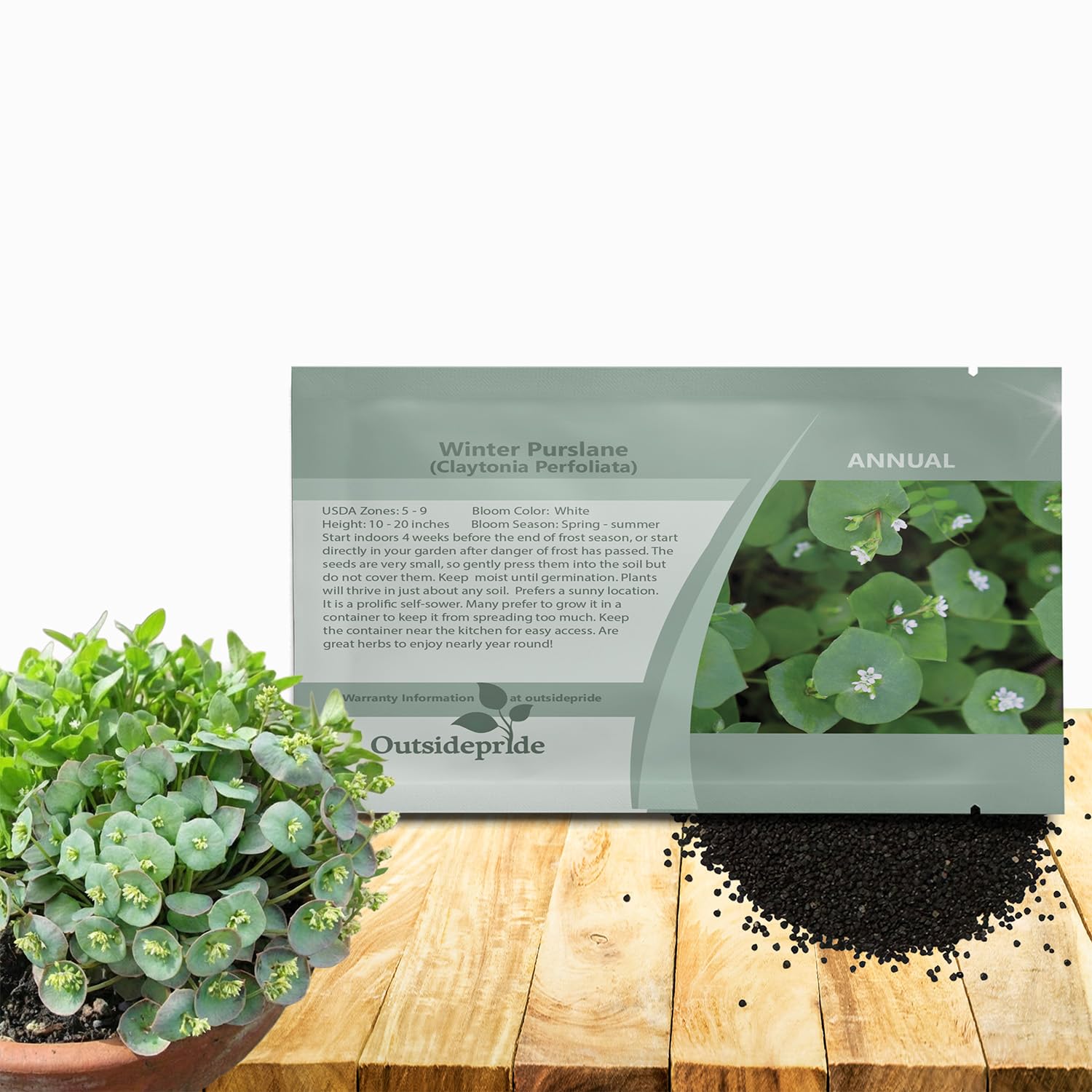Outsidepride Winter Purslane seeds package for easy planting and vibrant color
