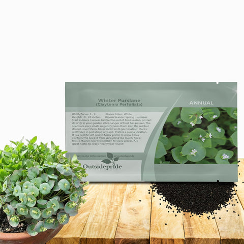 Outsidepride Winter Purslane seeds package for easy planting and vibrant color