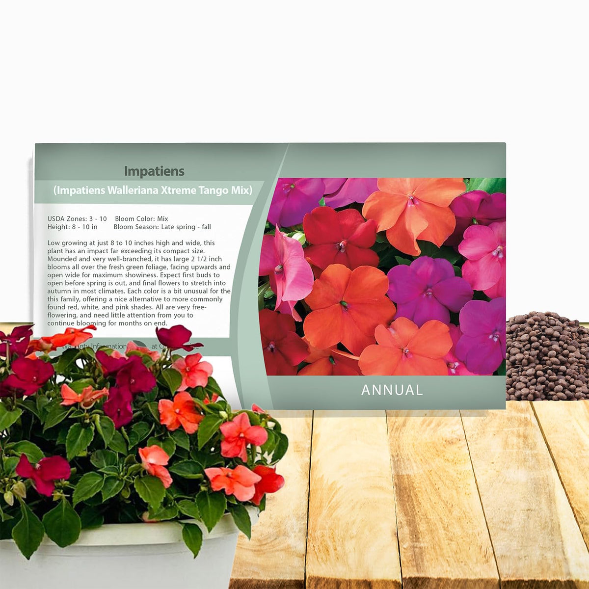 Outsidepride Xtreme Tango Mix closeup of vibrant 2.5-inch blooms, bold color display