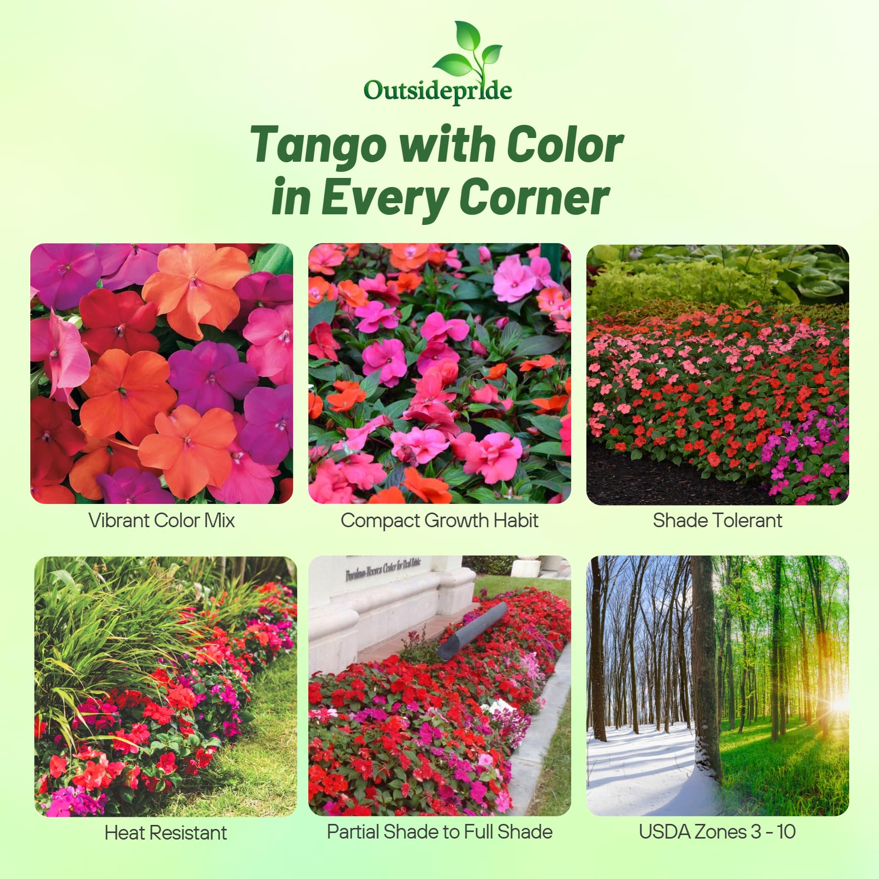 Outsidepride Xtreme Tango Mix container display with bright flowers for patios