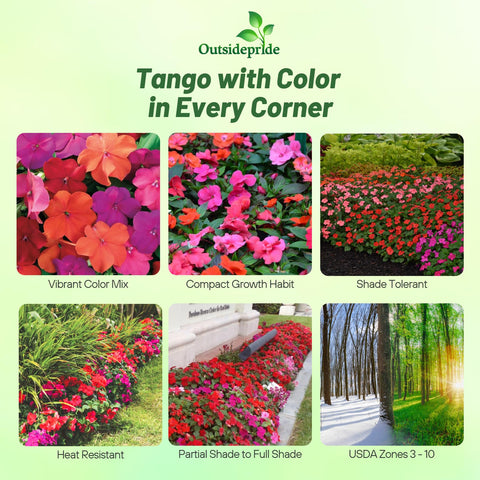 Outsidepride Xtreme Tango Mix container display with bright flowers for patios