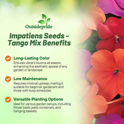 Outsidepride Xtreme Tango Mix thriving in a shaded garden bed
