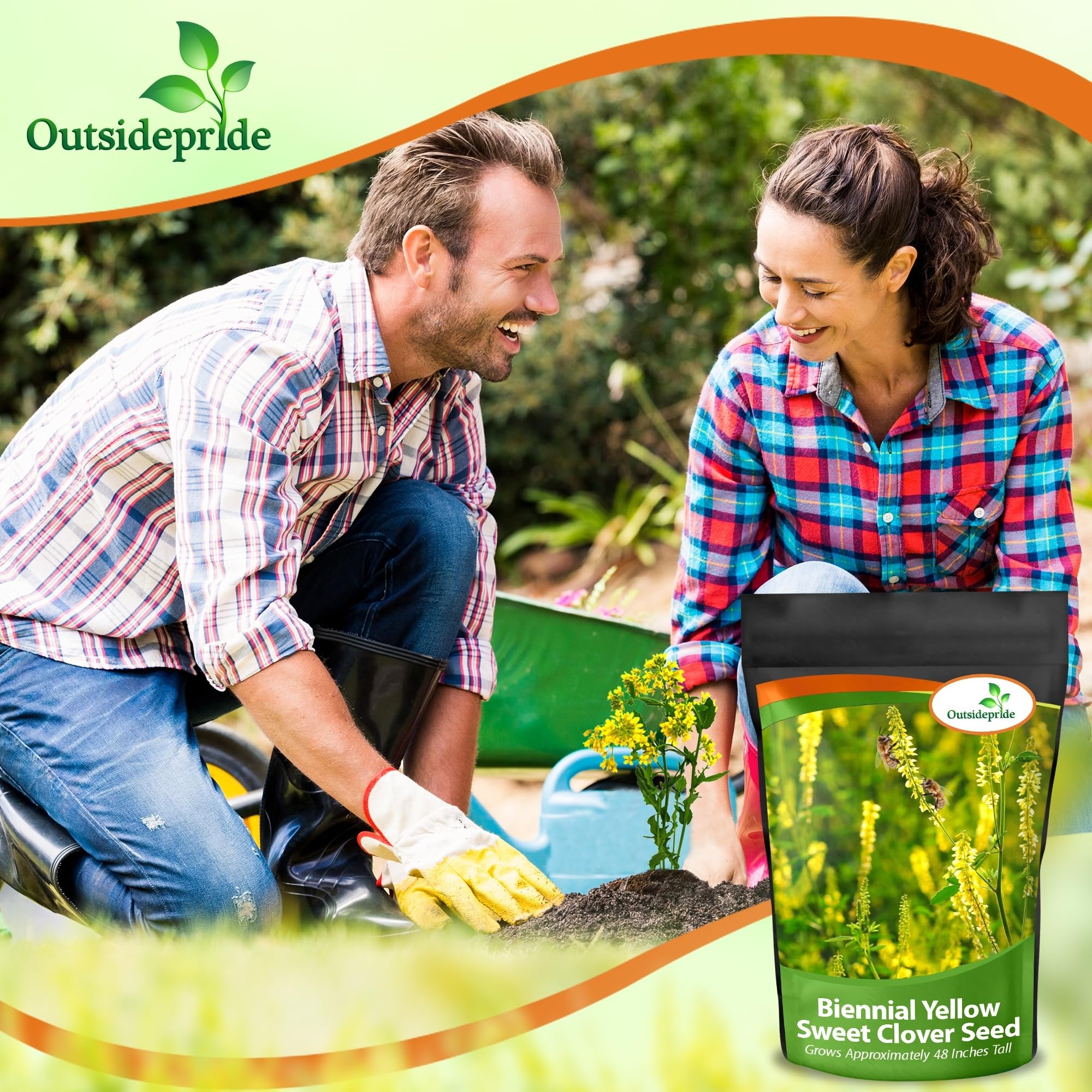 Outsidepride Yellow Sweet Clover seed forage and hay option for sustainable pastures
