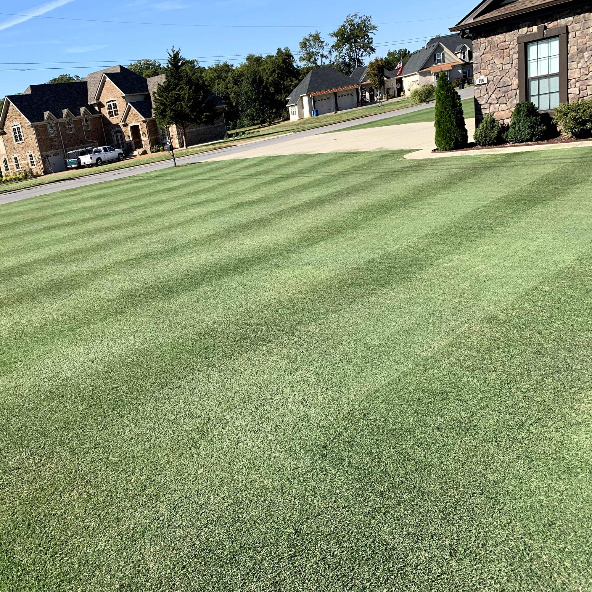 Outsidepride Yukon Bermuda lush spring lawn in transition zone.