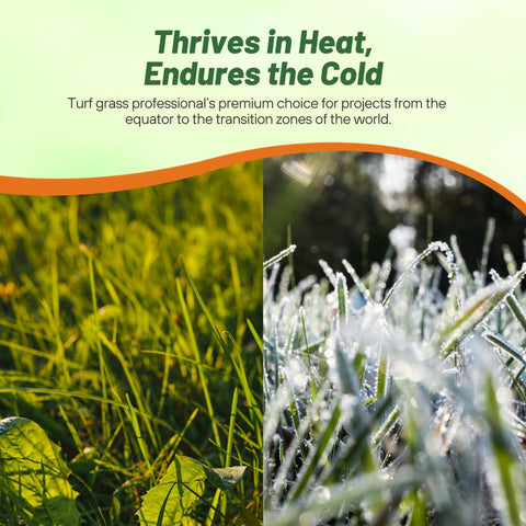 Outsidepride Yukon Bermuda seed label detailing cold tolerance and water efficiency.