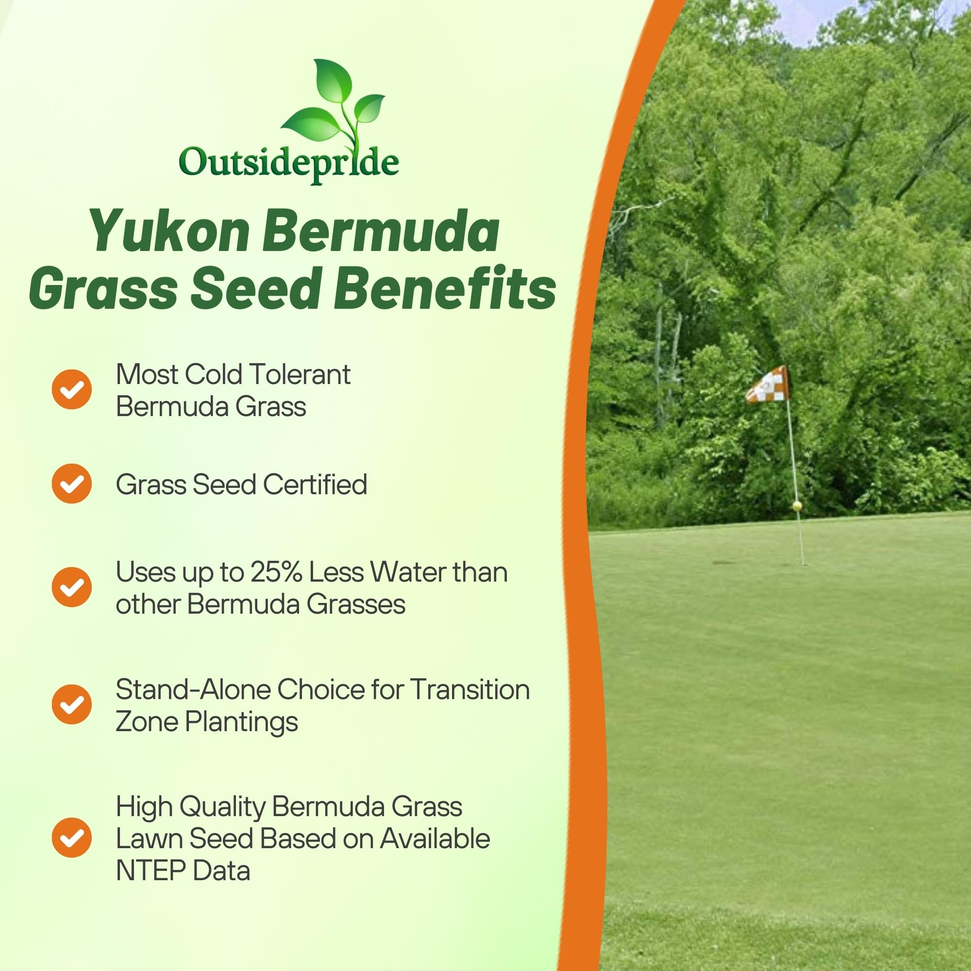 Outsidepride Yukon Bermuda seed pouring into a spreader for efficient lawn seeding.