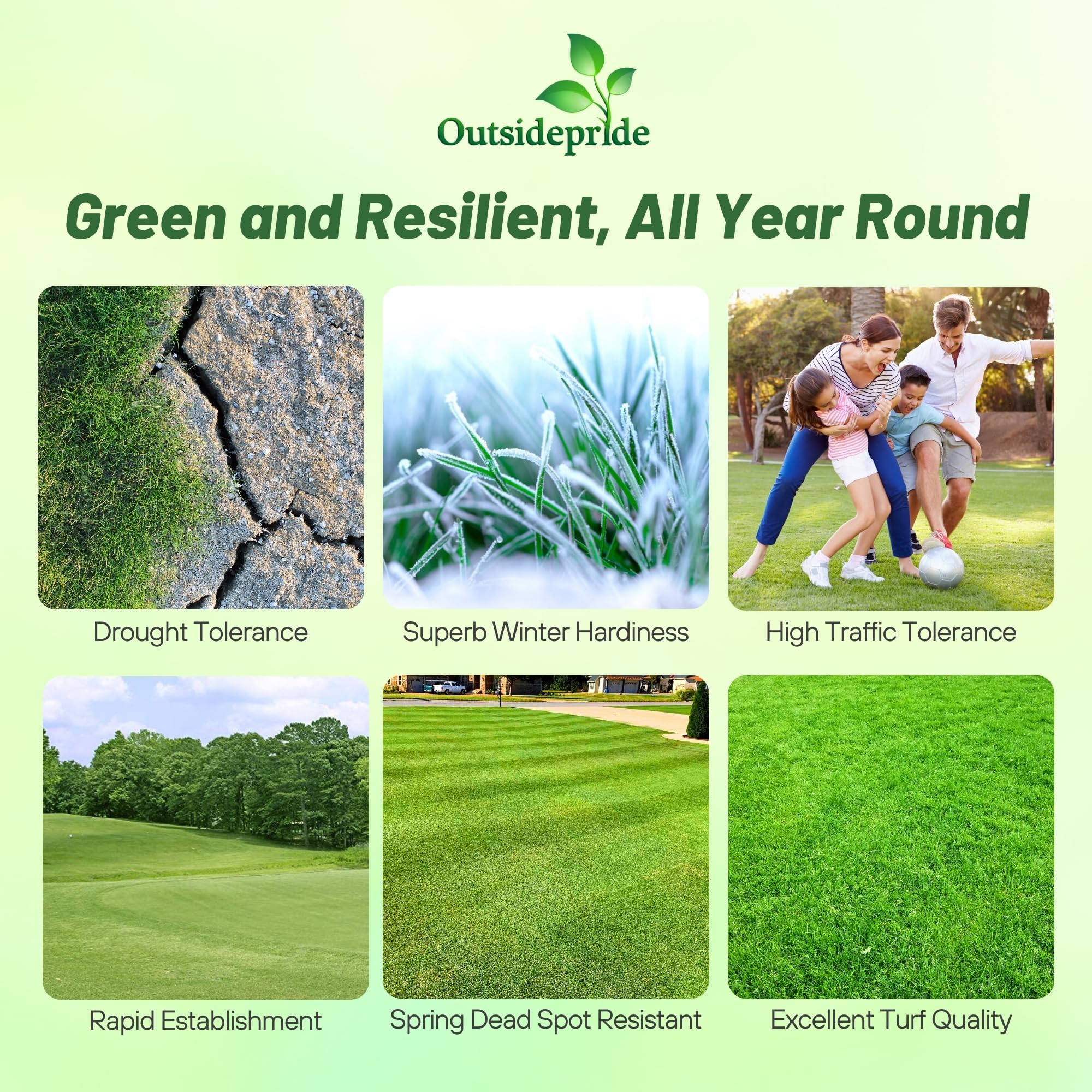 Outsidepride Yukon Bermuda seed spread for even germination.