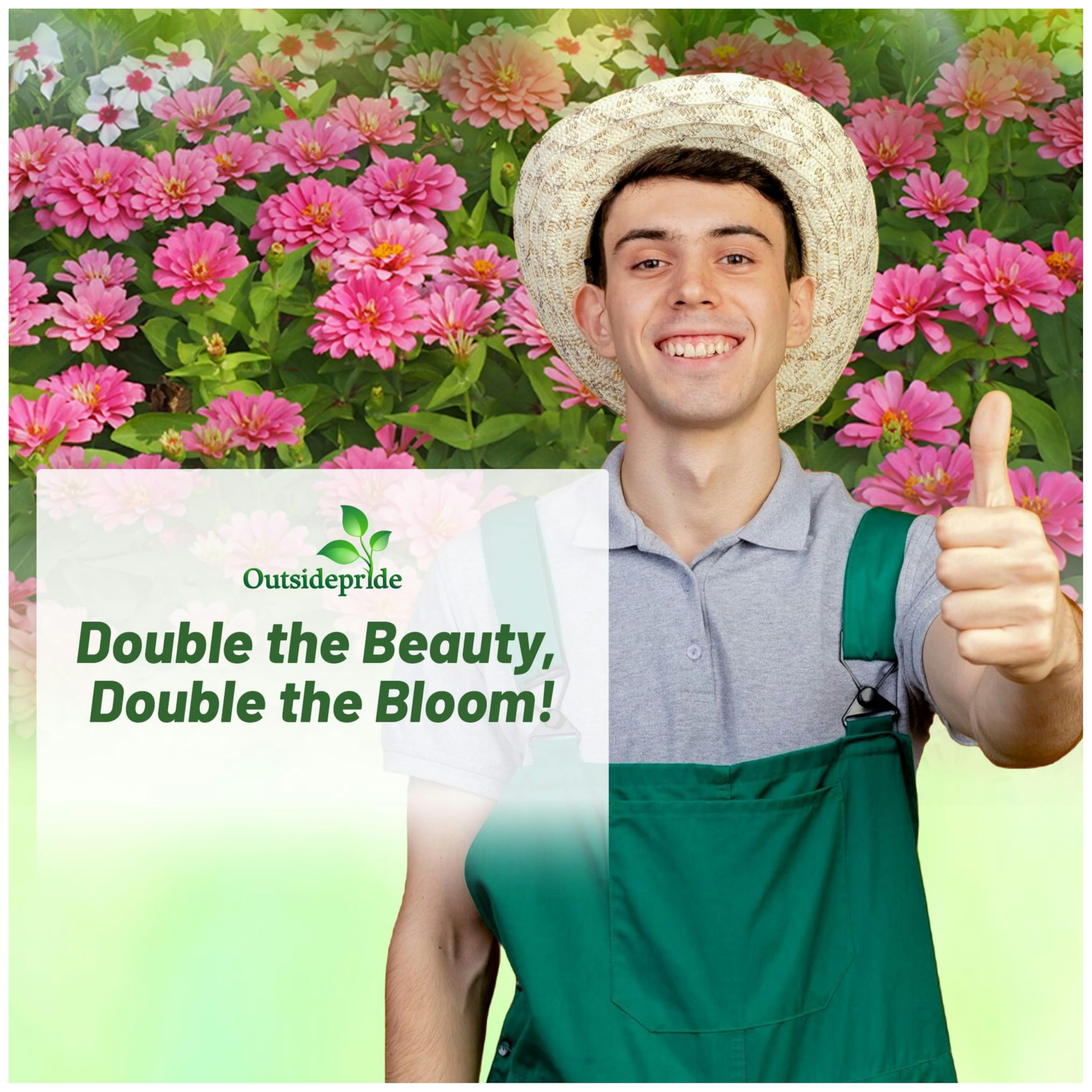 Outsidepride Zahara raspberry ripple blossoms for versatile cut arrangements.