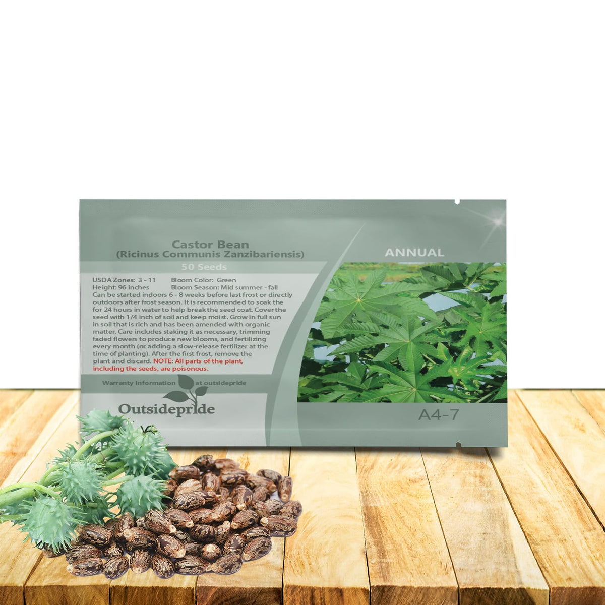 Outsidepride zanzibariensis castor bean seed pack front for bold borders