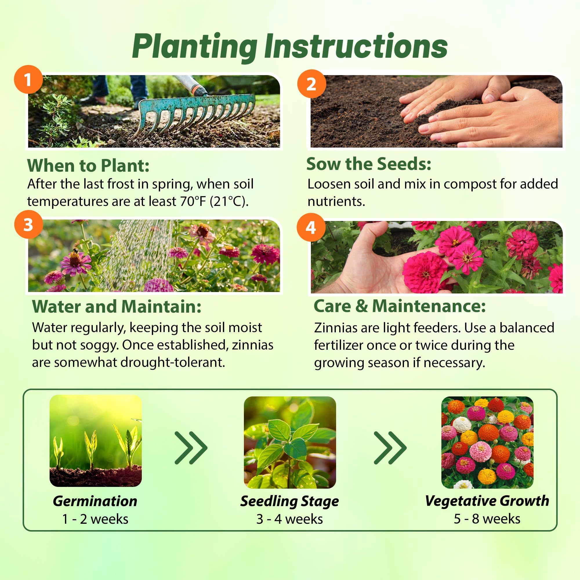 Outsidepride zinnia container garden setup with colors