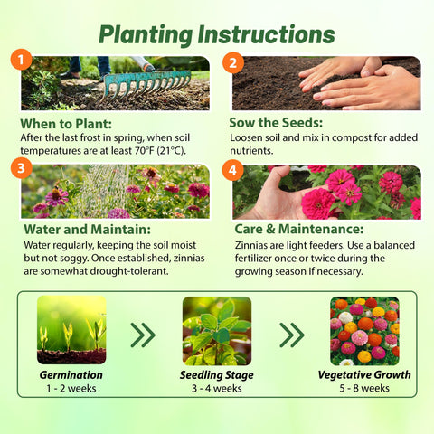 Outsidepride zinnia container garden setup with colors