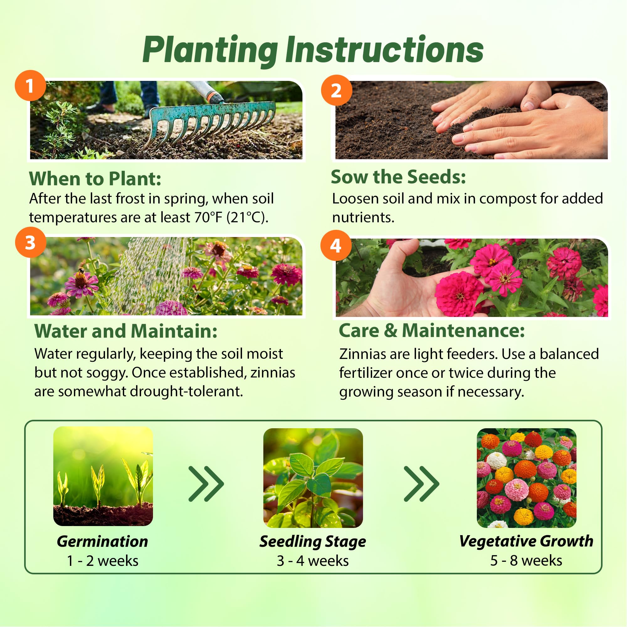 Zinnias along borders and flower beds from Outsidepride seeds.