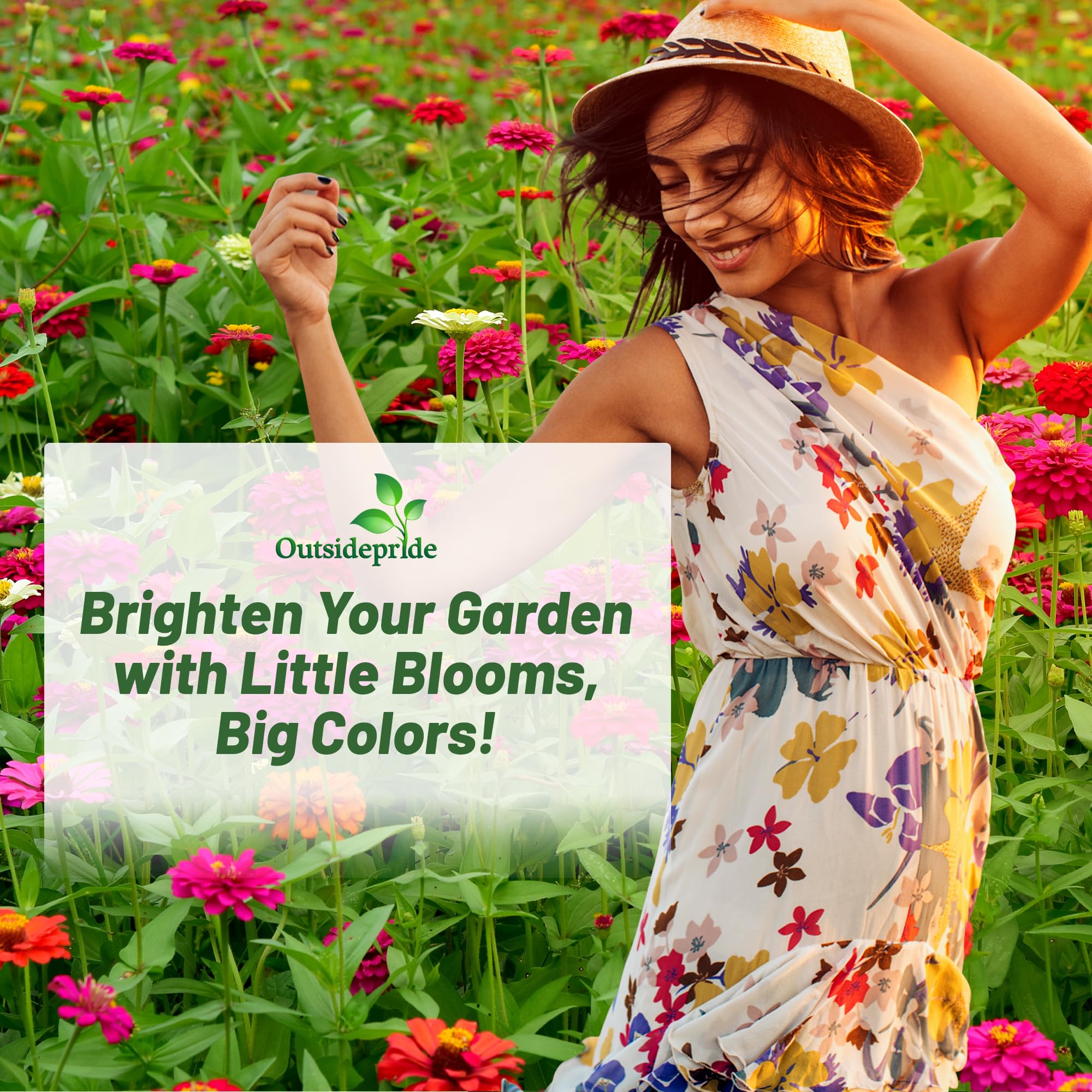 Outsidepride Zinnia Seeds in a container planting setup for small spaces.