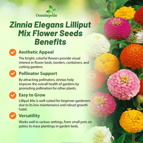 Pollinators visit Outsidepride Zinnia Seeds in a pollinator-friendly garden.