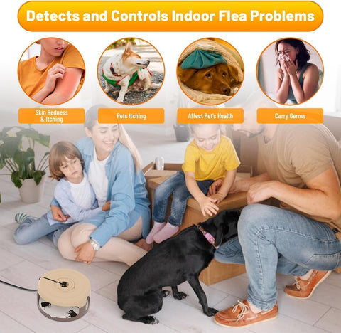 Outtkitywi 2 pack flea traps shown together for home use and discreet placement