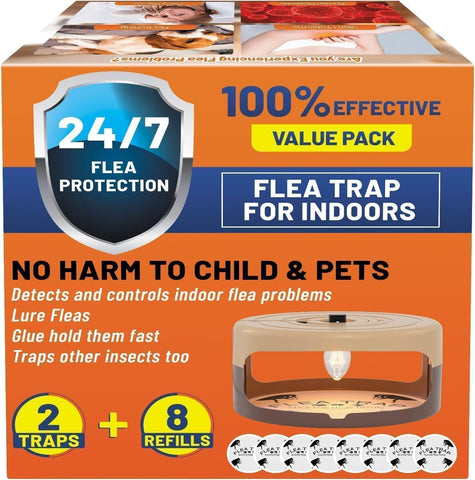 Outtkitywi bedroom setup with a discreet flea trap blending into decor