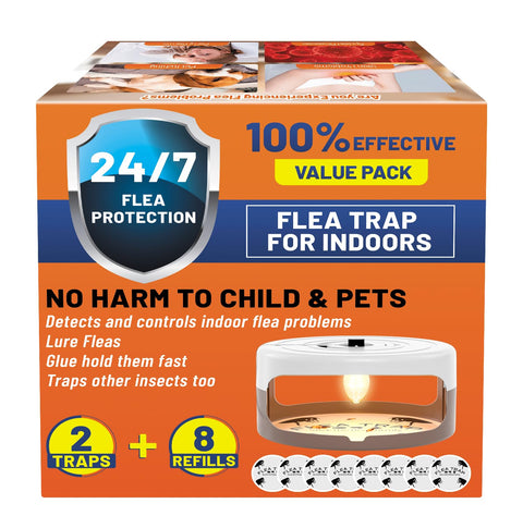 Outtkitywi dual-pack setup ideal for multi-room pest management