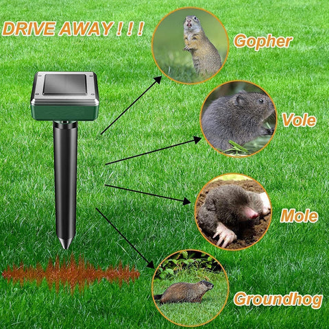 outtkitywi easy spike-in-hole setup for quick deterrence