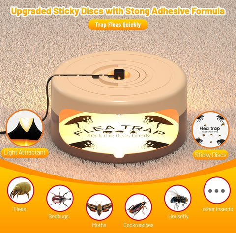 Outtkitywi eight sticky pads ready to capture pests on contact