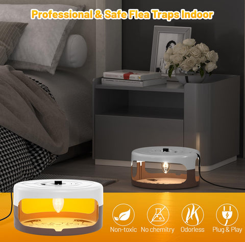 Outtkitywi indoor flea trap lit up to attract pests at night