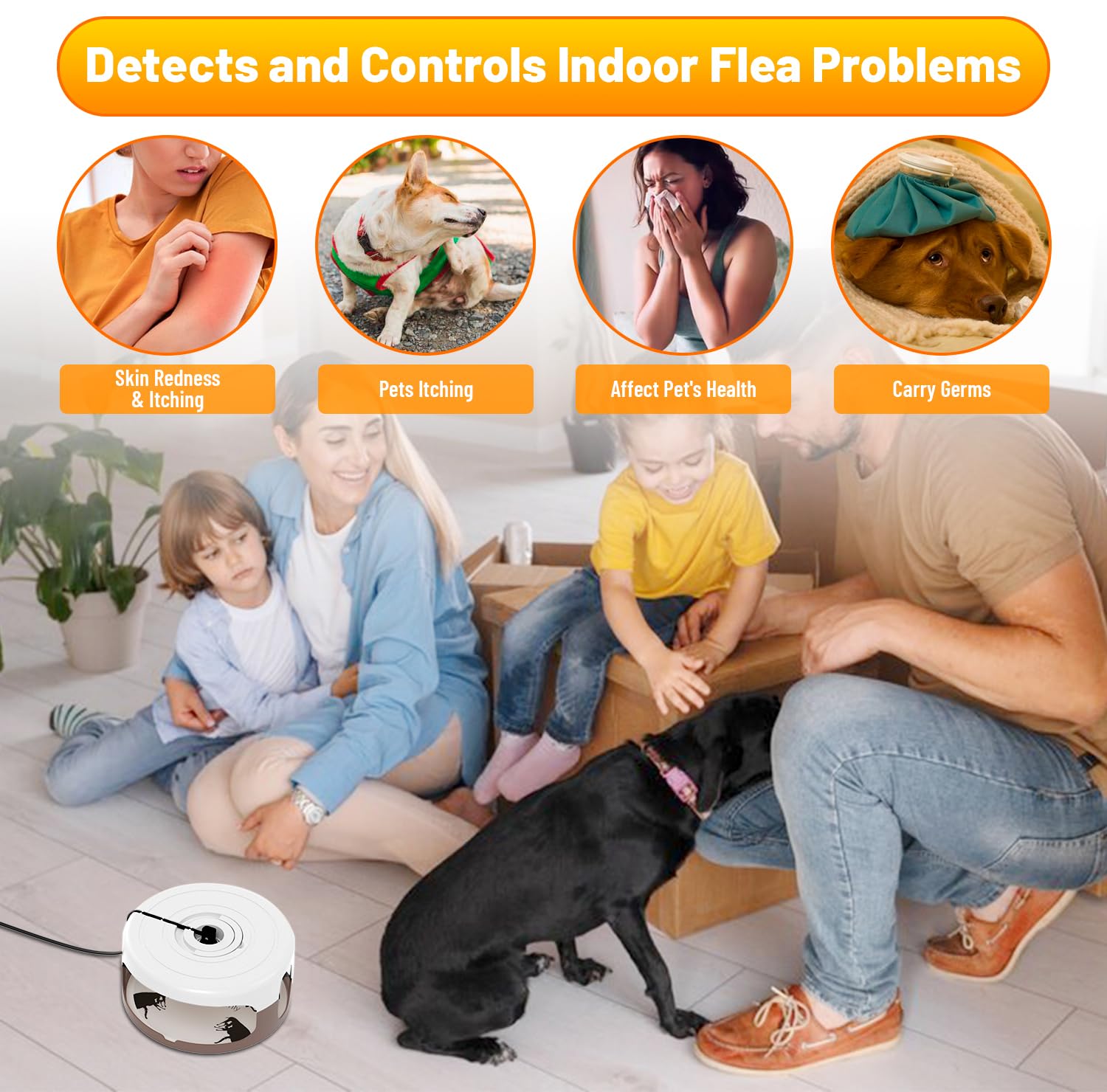 Outtkitywi odorless flea traps suitable for homes with kids and pets