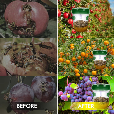 Outtkitywi Wasp Trap ideal for garden patios and outdoor spaces
