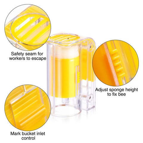 Outus clear plastic queen cages securely hold the queen during marking.
