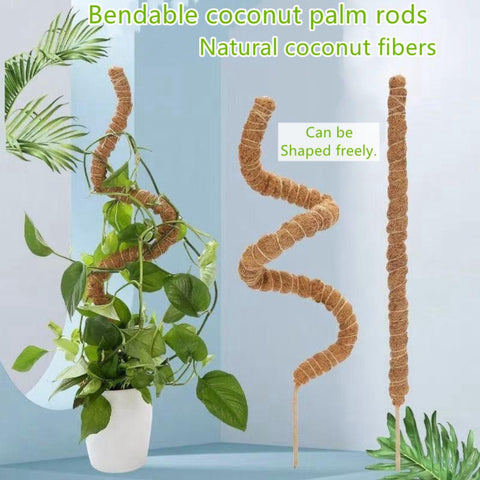 Outzen natural coconut fiber outer retains moisture and nurtures roots.