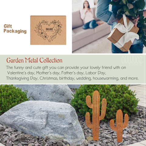 OUUJUOZ front yard patio cactus decor creates welcoming ambiance.