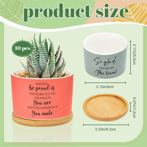 Ouvibor bamboo tray paired with ceramic pot for a stable desk display