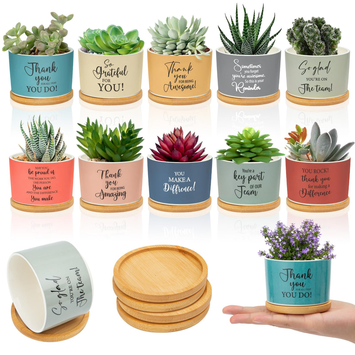 Ouvibor ceramic succulent pot with inspirational quote for desk decor