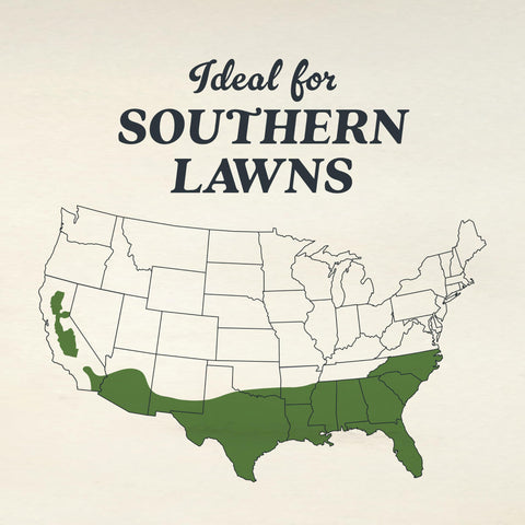 Overseeding coverage up to 2,000 sq ft with Scotts seed.