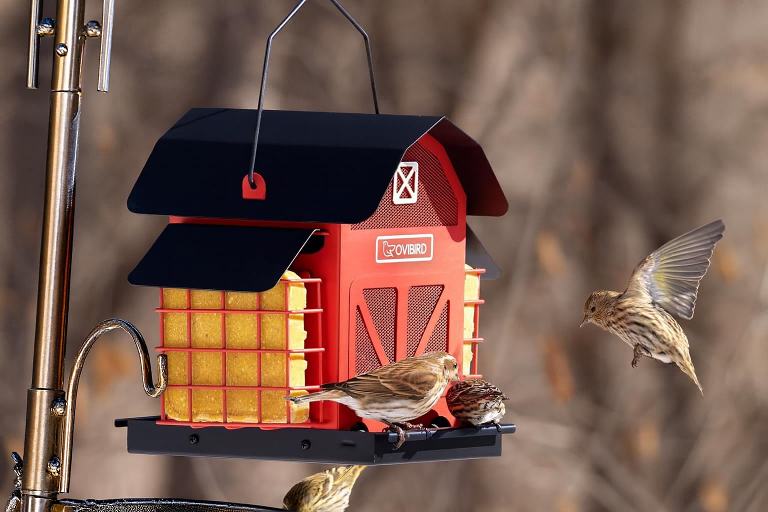 OVIBIRD 5lbs capacity feeder shown outdoors for longer seed freshness in all weather.