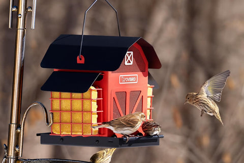 OVIBIRD 5lbs capacity feeder shown outdoors for longer seed freshness in all weather.