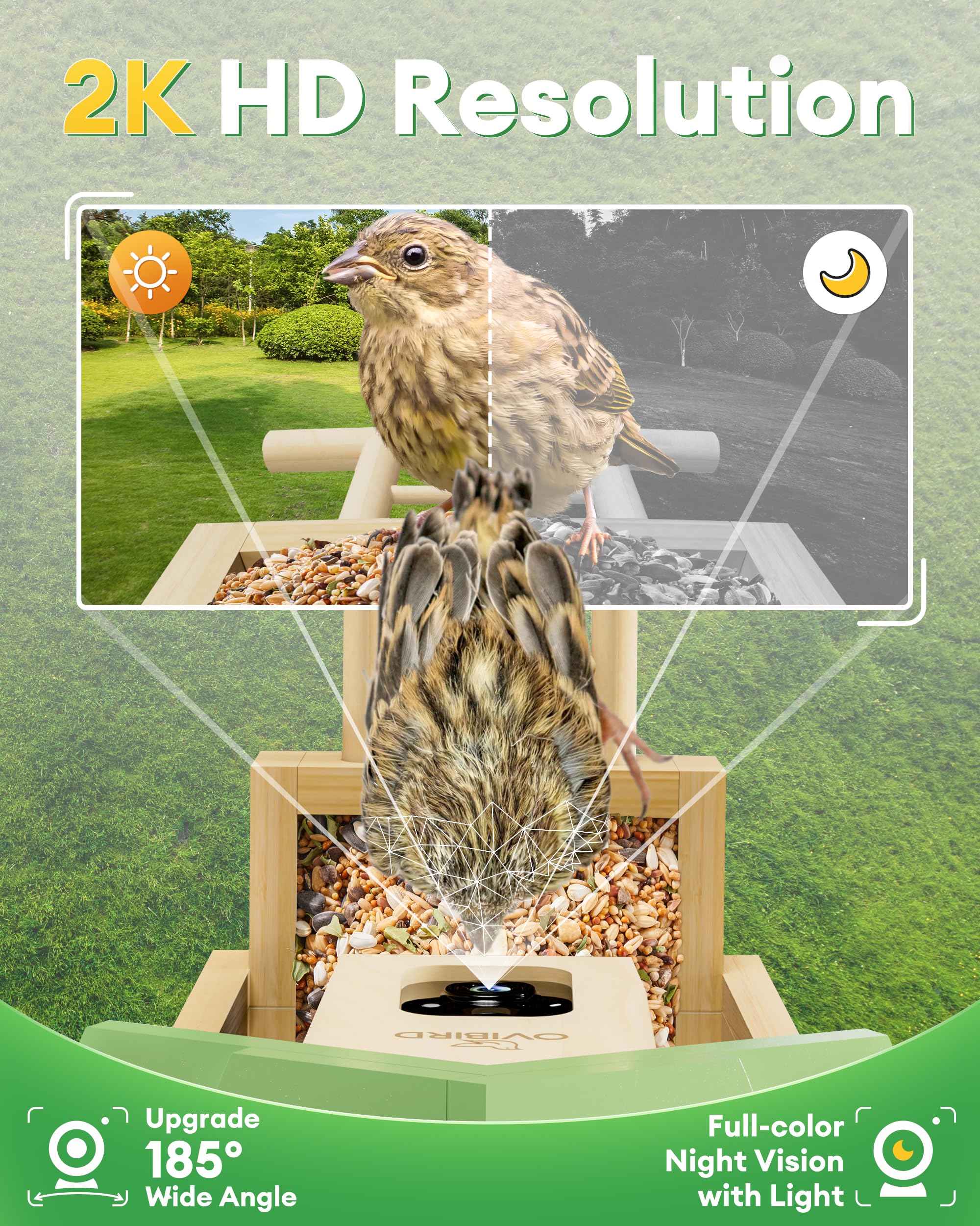 OVIBIRD gift-ready packaging appeals to nature-loving families.