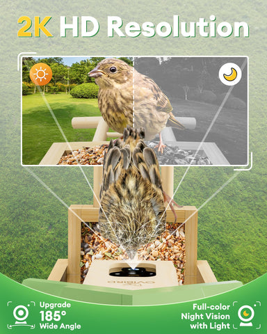 OVIBIRD gift-ready packaging appeals to nature-loving families.