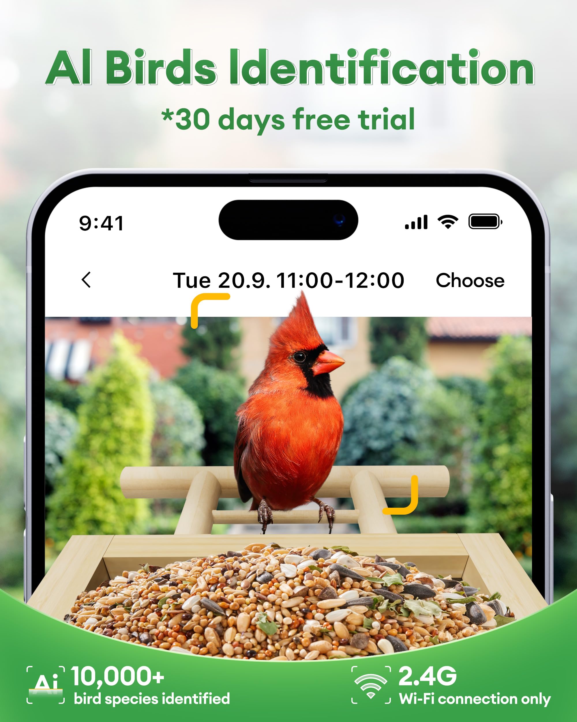 OVIBIRD Smart Feeder side view showing slim bamboo design blending with outdoors.