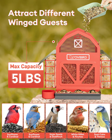 OVIBIRD waterproof-roofed feeder protects seeds from rain and moisture.