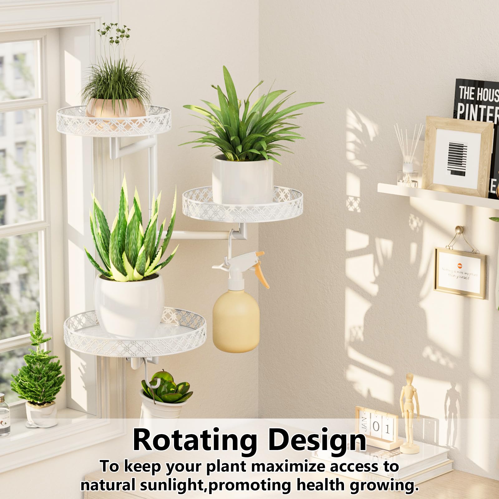 OVICAR floral-edge design adds decorative flair to plant display.