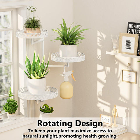 OVICAR floral-edge design adds decorative flair to plant display.