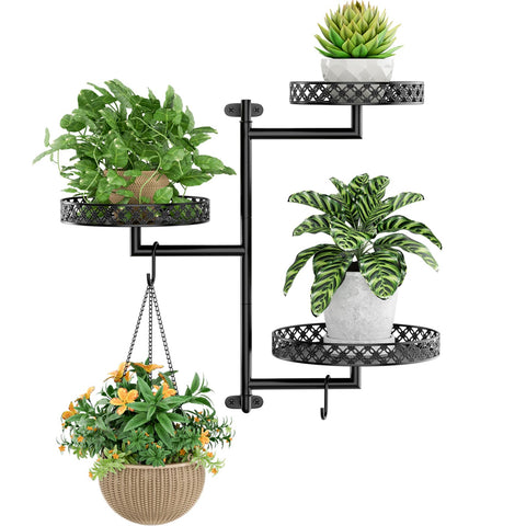 OVICAR rotating window shelves optimize sun exposure for thriving succulents.